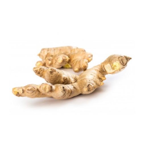 Imagem de GENGIBRE NACIONAL