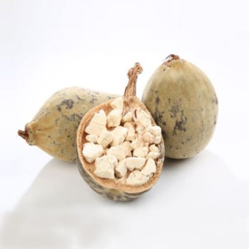 Imagem de MUCUA NACIONAL