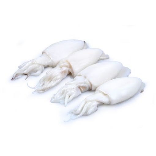 Imagem de CHOCO LIMPO 13/20  DE 800GR