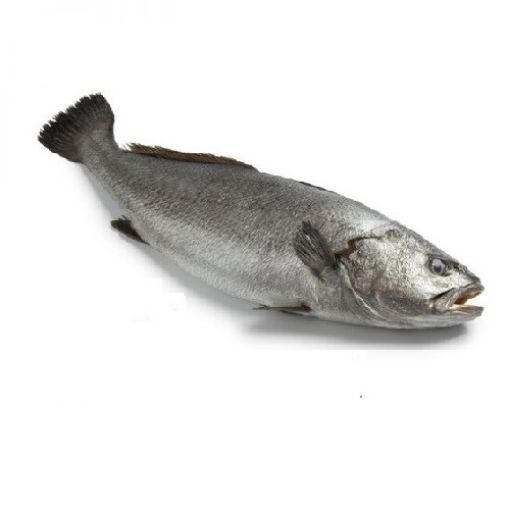 Imagem de CORVINA INTEIRA CONGELADA
