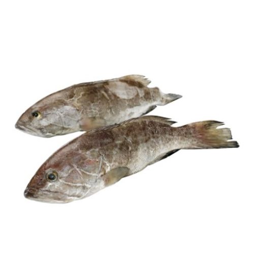 Imagem de GAROUPINHA INTEIRA CONGELADA