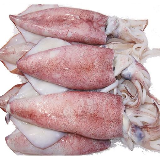 Imagem de LULA CONGELADA