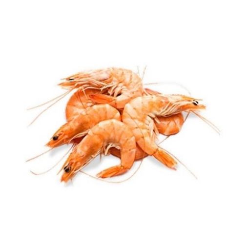 Imagem de CAMARÃO 21-30 