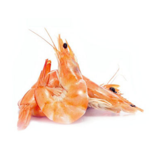 Imagem de CAMARÃO 31-40 