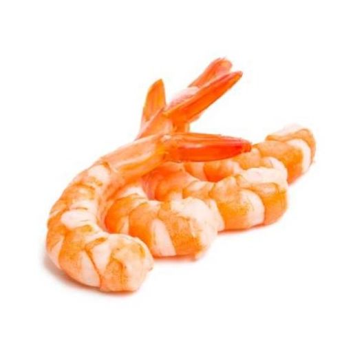 Imagem de CAMARAO 41-50